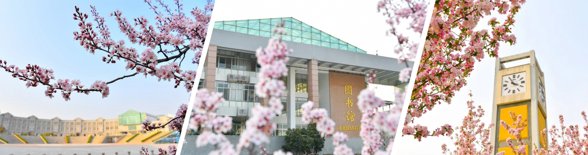 潍坊医学院*耽美漫画
